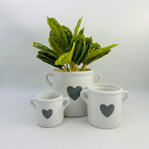 Heart plant pot